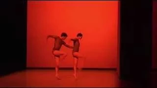 Josua Hoffalt - L'Anatomie de la Sensation (W. Mc Gregor) - 2011