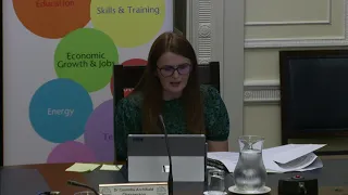 Committee for the Economy Meeting Wednesday 17 June 2020