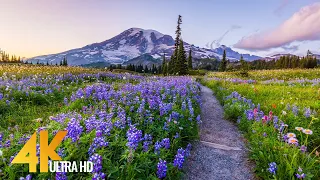 Pacific Northwest 4K - Beautiful Nature of Washington State - Leavenworth and Mt. Rainier - Part #3