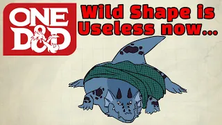 Druid's Wild Shape is useless - One D&D Druid & Paladin Playtest