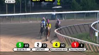 Upstart - 2014 Funny Cide Stakes (NYB)