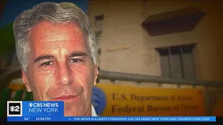 Timeline of Jeffrey Epstein's mental state detailed in uncovered document