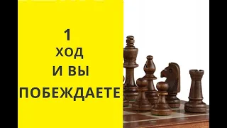 Шахматы. 1 ХОД И ВЫ ПОБЕЖДАЕТЕ. СИЛЬНАЯ ЛОВУШКА. Бесплатные. Онлайн. Играющие. Играть с компьютером