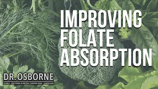 How To Improve Folate Absorption and Other Folate Questions Answered!