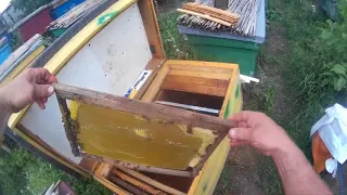 Гладкая вощина, как тянут пчелы гладкую вощину