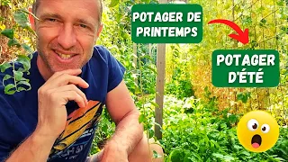 Le potager se transforme ► Mi-juin 2022