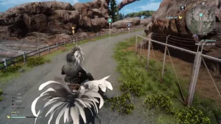 FINAL FANTASY XV I want to ride my Chocobo all day!!