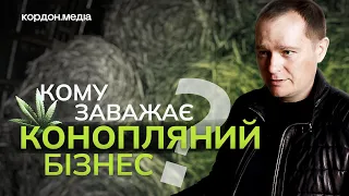 Як відроджують коноплярство на Сумщині в умовах війни?