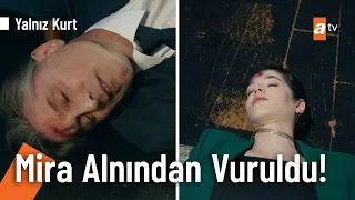 Halit, Mira'nın işini bitirdi! - Yalnız Kurt 32. Bölüm (FİNAL)