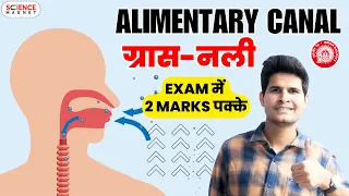 Digestive System Alimentary Canal (पाचन तंत्र ग्रास-नली)  | Exam में   2 Marks पक्के #sciencemagnet