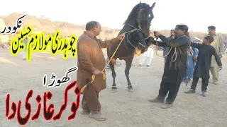 Mulazin Hussain Nakodar Ghora Dance(گھوڑا ڈانس) 2023 ...Akash Tv