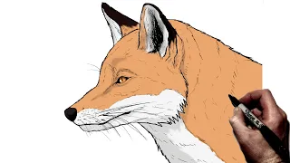 How To Draw A Fox (Side) | Step By Step