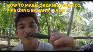 HOW TO MAKE TOBACCO PIPE BY USING BANANA LEAVES