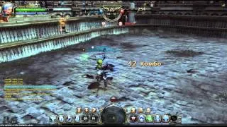 Берсерк v.s. Мастер клинка (Dragon Nest)