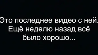 САМАЯ КРАСИВАЯ МОРСКАЯ СВИНКА. МОРСКАЯ СВИНКА ПОЕТ. ПОСЛЕДНЕЕ ВИДЕО НЮШИ.