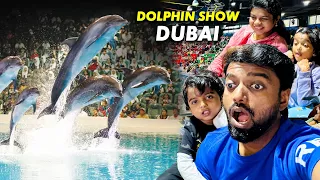 Jayden's Atrocities in Dolphin 🐬 Show Dubai - SeaLion Spotting with Family | DAN JR VLOGS