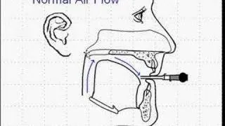 Circular Breathing 1a, by Terry B. Ewell