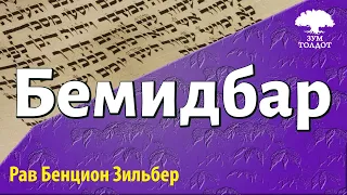 Недельная глава Бемидбар. Рав Бенцион Зильбер