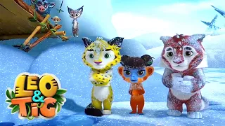 Leo and Tig 🦁 The Ice Ball ✨ Best episodes 🐯 Funny Family Animated Cartoon for Kids