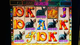 Slot da bar🎰Magic Girl-Cleopatra Sanremo games 🎰65%🇮🇹 🔞🔞