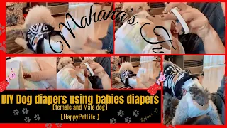 DIY Dog diapers using babies diapers 【female and Male dog】　 #dogdiapers  #diy   #TipidIdea