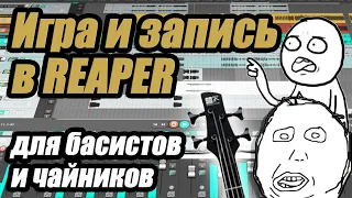 Туториал "Как начать пользоваться REAPER" для басистов и прочих чайников