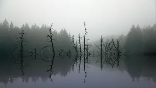 Suizen - Dark Shakuhachi II (Der Wandermönch / the wandering monk)