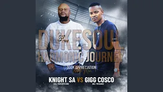 Harmonic Journey To DukeSoul (feat. Knight SA)