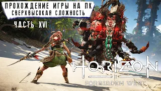 Horizon Forbidden West на ПК - Прохождение 16 без комментариев ➤ Сверхвысокий | Запретный Запад | 4K