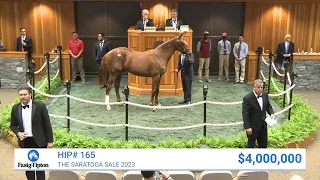 Curlin colt o/o Beholder sells for $4,000,000 at The Saratoga Sale (2023)