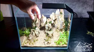 Dithurambos - Nano aquascape tutorial for a betta splendens - Laurent Garcia