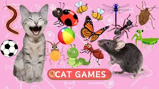 CATS TV - Realistic Ultimate Cat TV Compilation | Game For Cats to Watch |  1 Hours  NO ADS