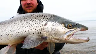 Great Lakes Surf Fishing & Tent Camping (Salmon Omelette Catch and Cook)