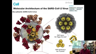 Lecture 9.4: How can Cryo-EM be used to determine protein structures?