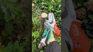 Stihl GTA 26 11v mini chainsaw 🧡🔋💪🏼