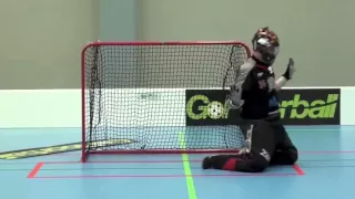 ФЛОРБОЛ/ УЧЕБНОЕ ПОСОБИЕ КРУТО /Floorball goalie training