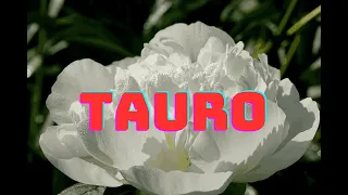 TAURO♉🐂QUIÈN TE QUIERE A SU LADO TIENE INTENCIONES PURAS!🌈😍LA ANGUSTIA QUEDA ATRÀS!😍