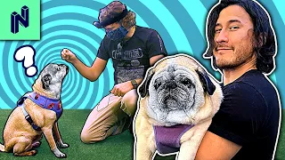 LITERALLY Teaching Old Dogs New Tricks Ft. Markiplier