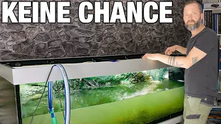 750l Aquarium wird Gnadenlos Ausgetauscht!