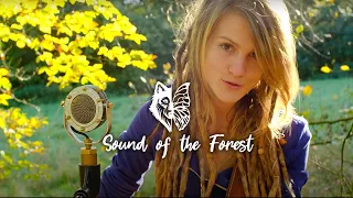 Ronja Maltzahn - Sound of the Forest (Acoustic Version)