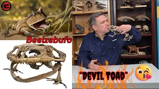 Beelzebufo: The Deadliest Frog In The World Eats Dinosaurs?