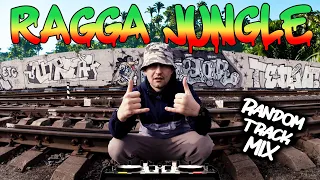 ragga jungle dj mix(random track)