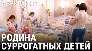 Родина суррогатных детей | #ВУКРАИНЕ