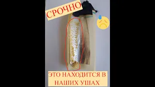 Как почистить уши и улучшить слух? Ушные фитосвечи!