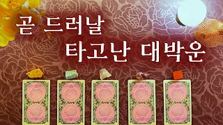 [타로카드] 곧 드러날 타고난 대박운