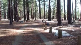 Nevada Beach Campground, Lake Tahoe, Nevada, All 54 campsites! Tahoephotography Channel.