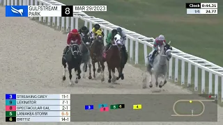 Gulfstream Park Carrera 8 - 29 de Marzo 2023