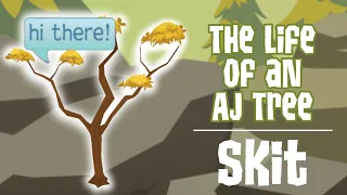 The Life of an Animal Jam Tree || Skit