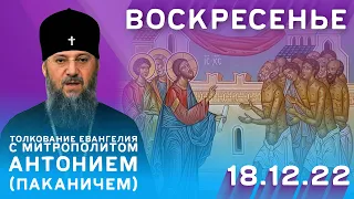 Толкование Евангелия с митр. Антонием (Паканичем). Воскресенье, 18 декабря 2022 года.