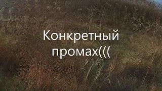 Открытие 2019. Охота на фазана  Краснодарский край.